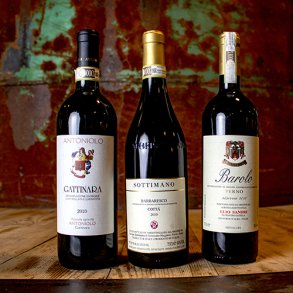 3 Vinhuse i Piemonte - 2010