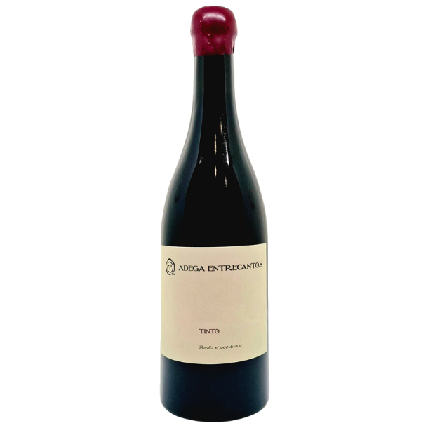 Bieitairo Tinto Entrecantos 2024, Galicien