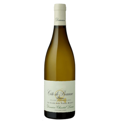 Cte de Beaune Blanc "Le Clos Des Topes Bizot" 2022, Domaine Chantal Lescure, Bourgogne
