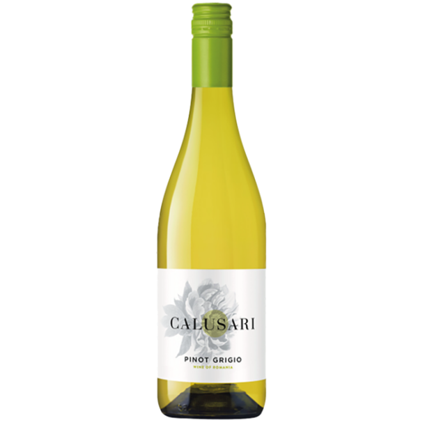 Pinot Grigio 2024, Calusari