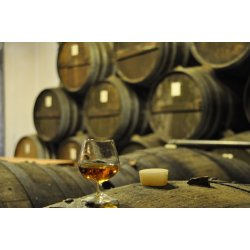 Armagnac VSOP, Domaine Horgelus