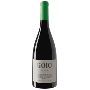 GOIO Macabeo 2024, Bodega San Gregorio, Calatayud