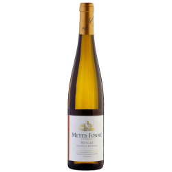 Muscat Katzenthal 2015, Meyer-Fonn, Alsace