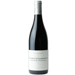 Gevrey Chambertin Cazetiers 1. Cru 2021 Domaine Castagnier, Bourgogne