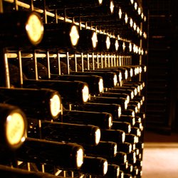 Las Gravas 2010, Casa Castillo, Jumilla