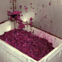 Las Gravas 2010, Casa Castillo, Jumilla