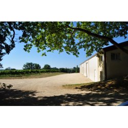 Domaine Horgelus, Colombard-Sauvignon Blanc 2024, Gascogne