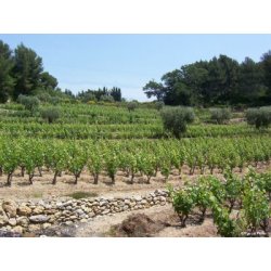 Domaine des Baguiers, Bandol Rouge 2018