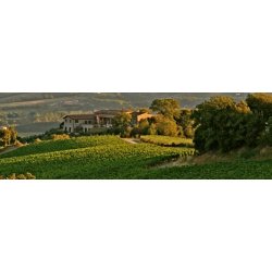 Elcione 2015, Tenuta Vitalonga, Umbrien